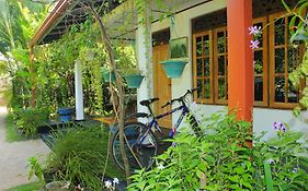 Nature Night Homestay